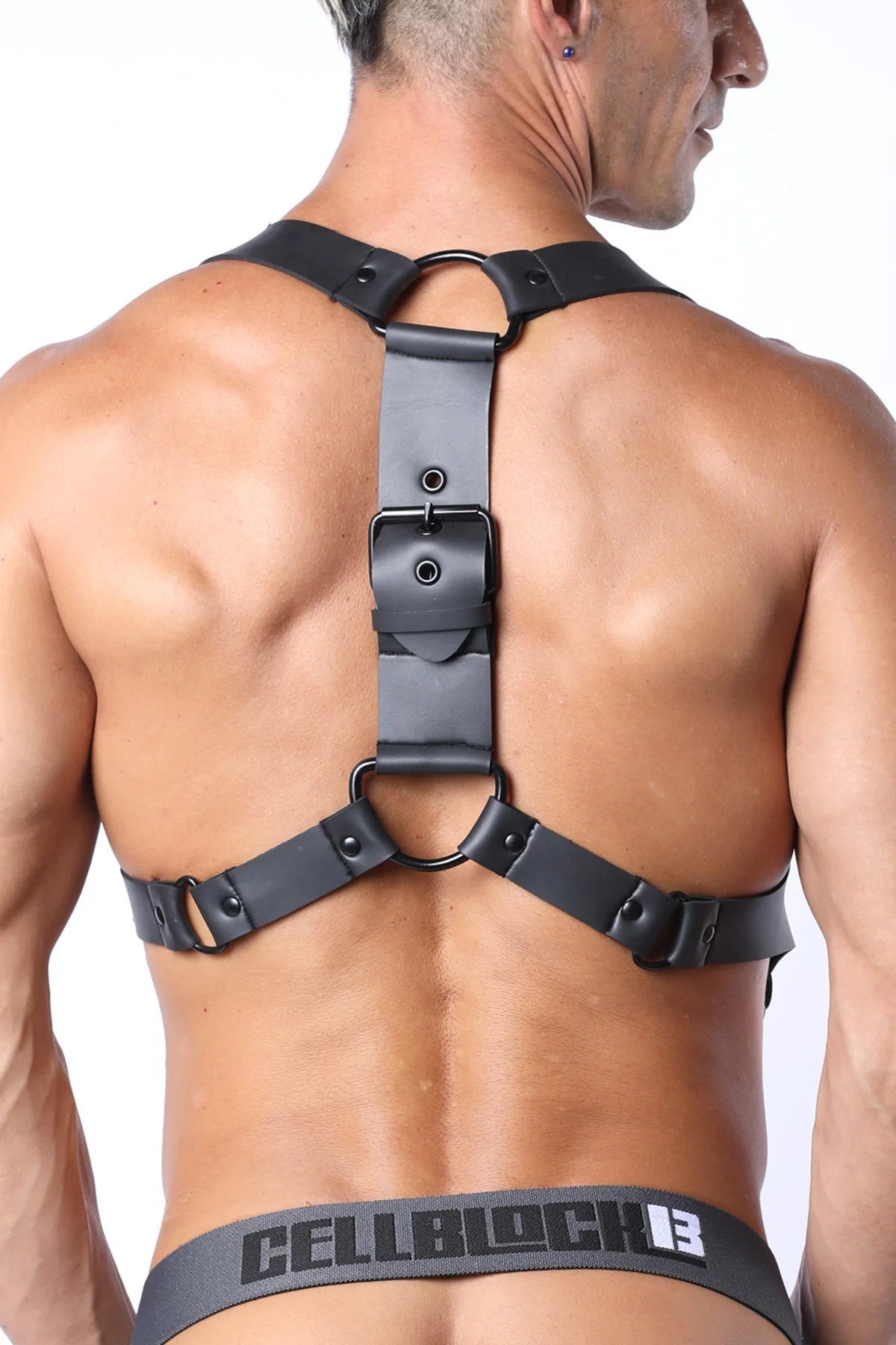 Fasten Neoprene Harness - Image 4